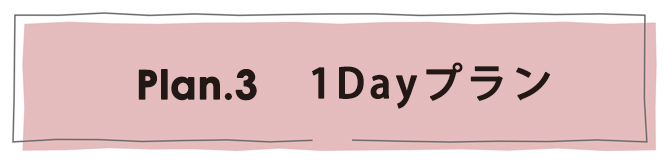 プラン3 1dayプラン 一日プラン