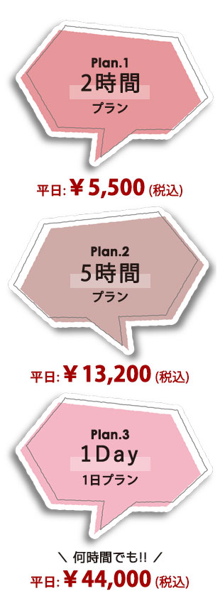 soel ソエル 立川 レンタススルーム料金 プラン 価格